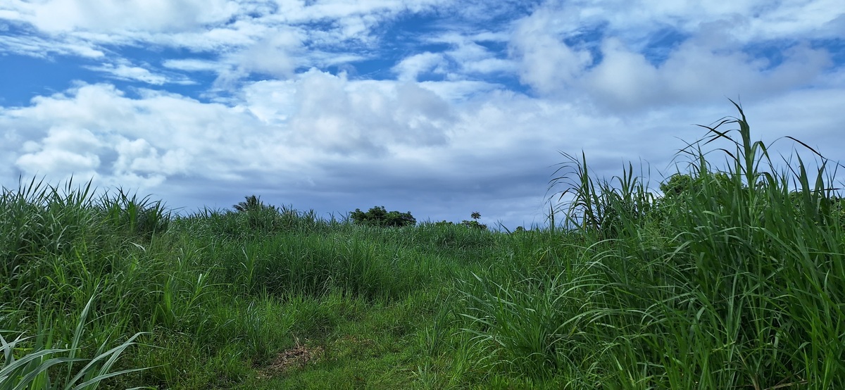 Terrain - Saint-Andr