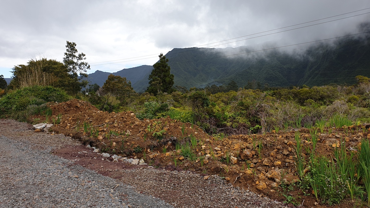 Vente Terrain La Plaine-des-Palmistes