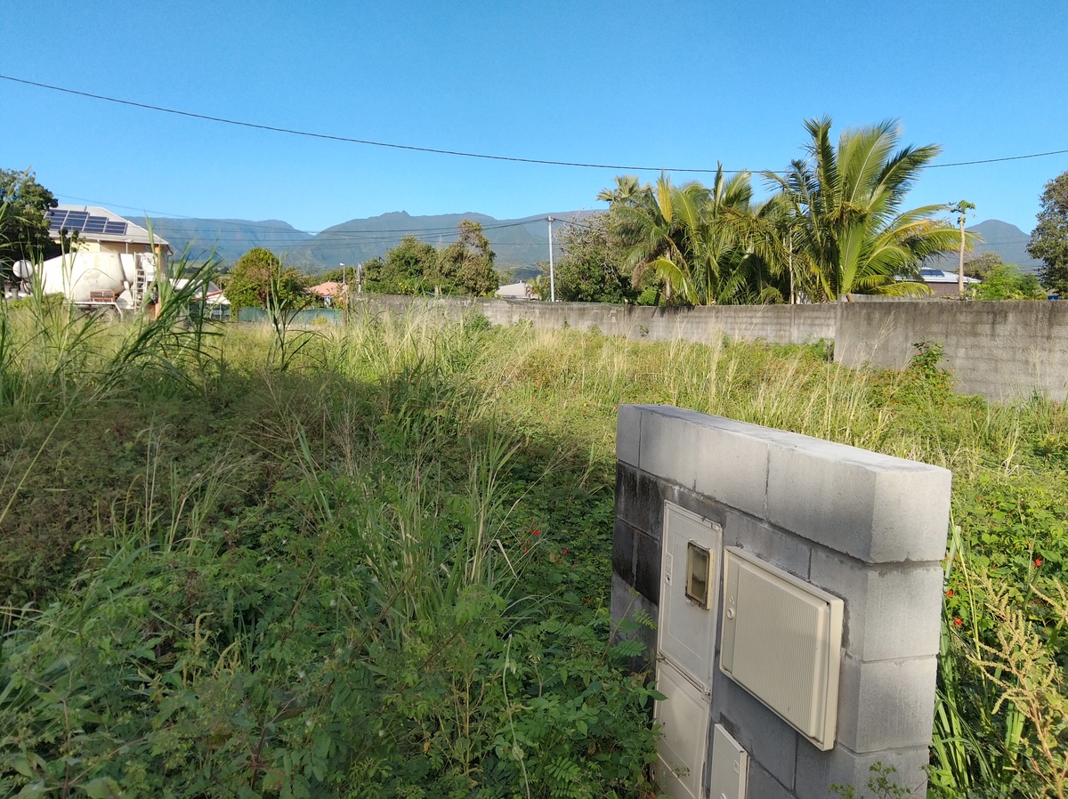 Terrain - Bras-Panon